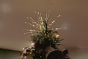 Starburst Light Tree Topper