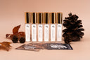 Discovery Set - Fall Collection