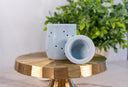 Light Blue Ceramic Fragrance Warmer on a golden surface with a plant in the background. The warmer dish is displayed leaning against the warmer.