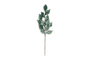 Dusty Green Leaf Stem