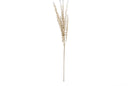 Champagne Glittered Stem with Mini Teardrop Leaves