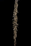 Champagne Lace Fern Garland