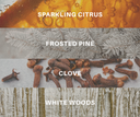 Four vertical flavor panels with overlaid text labels: 'SPARKLING CITRUS' on an orange citrus surface with droplets, 'FROSTED PINE' on frosted pine branches, 'CLOVE' on whole cloves, and 'WHITE WOODS' on a whitewashed wood texture. The image appears to function as a flavor/color options graphic rather than a single physical product shot.