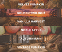 Velvet Drops Discovery Set - Fall Collection