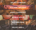 Discovery Set - Fall Collection
