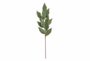 Sage Velvet Champagne Glittered Leaf Stem