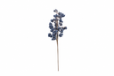 Mini Blue Berries Cluster Spray