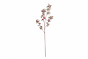 Frosted Tiny Tea Rose Spray