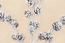 Snowy Flocked Pinecone Spray