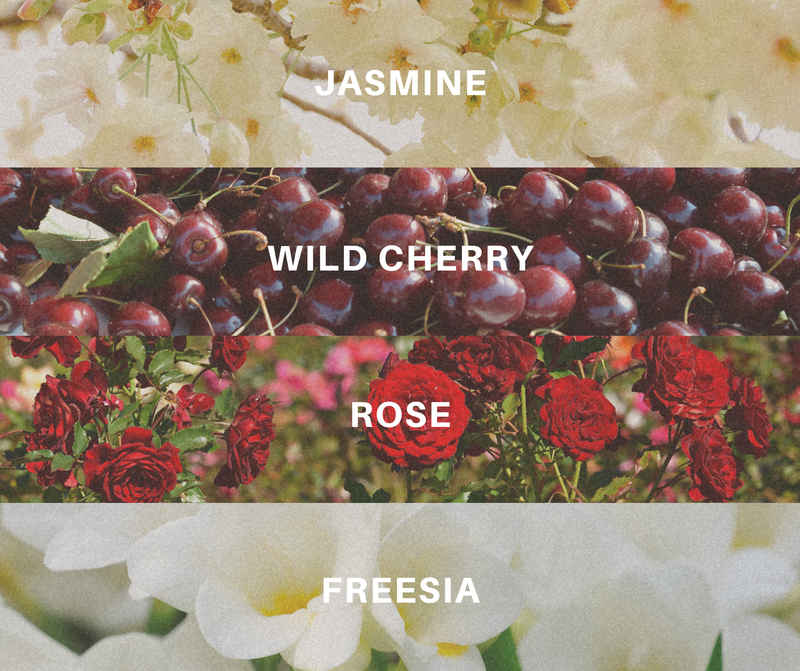 Fragrance notes with corresponding imagery: Jasmine, Wild Cherry, Rose, Freesia