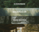 Forest Cabin - Velvet Luster Wickless