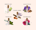 Multiple fragrances with decor behind them including: Morning Mist, Black Vintage, Washed Amber, Velvet Ease, & Blushed Rain