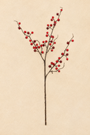Iced Red Berry Spray