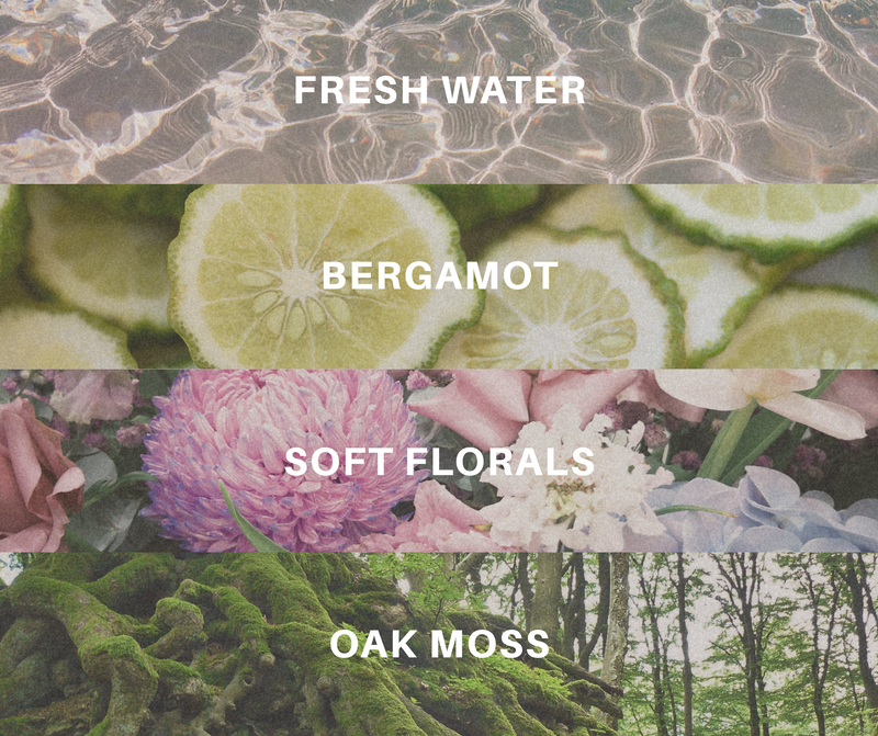 Collage of water, bergamot slices, flowers, and moss with text labels.