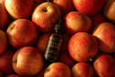 A small amber glass dropper bottle labeled Velvet Drops Luxury Warmer Oil rests on top of a dense pile of red and yellow apples.