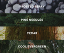 Three horizontal bands of natural textures with white text labels reading 'FROSTED BERRY', 'PINE NEEDLES', and 'CEDAR', plus a bottom band labeled 'COOL EVERGREEN'.