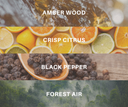 Scents with corresponding imagery: Amber wood, crisp citrus, black pepper, forest air.