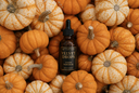 An amber bottle of Velvet Drops Luxury Warmer Oil on a pile of multi-colored and miniature pumpkins.