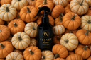 A Velvet Home Air & Linen Mist from The Velvet Noble on a pile of miniature, multi-colored pumpkins.