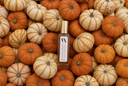 A small rectangular bottle with a gold cap and white label reading 'VN' and 'VELVET PUMPKIN' is centered on a dense arrangement of orange and cream pumpkins.