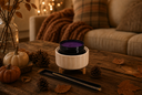Velvet Luster Wickless Discovery Set - Fall Collection