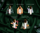 Winter Discovery Set Vol. 2