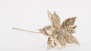 Golden Poinsettia Stem